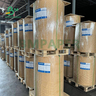120gsm Thermal Coating Synthetic Paper For Medical Wristband 20cm x 500m