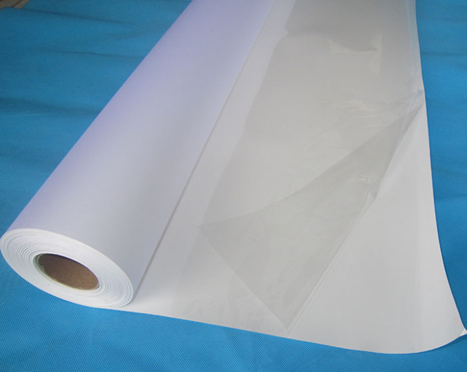 24In x 30M Roll Size Inkjet Transparent Vinyl Sticker Roll PVC