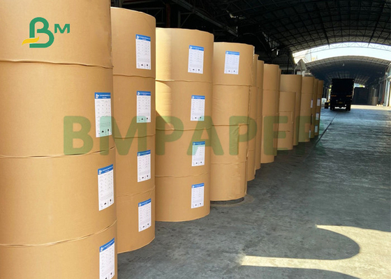 210+15g PE Coated Cup Paper For Coffee Shop 700mm 900mm Good Brightness